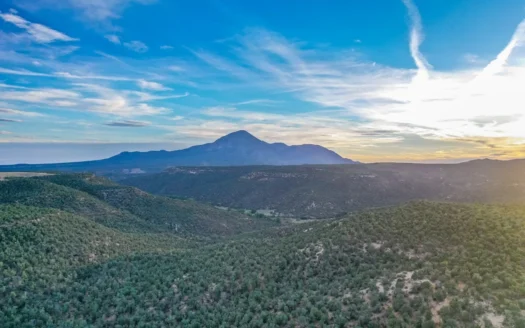 75 Acre Rural Retreat- Dream Home Site in Cortez, CO!