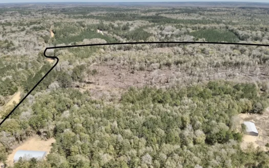 59+/- Acres of land with Quonset hut barn, Chancellor, Alabama