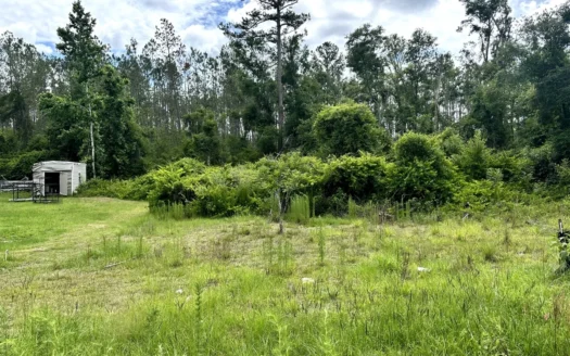 Recreational Lot for Sale in Suwannee County Florida