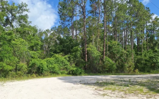 10 Acres in the Country in Old Town, Florida