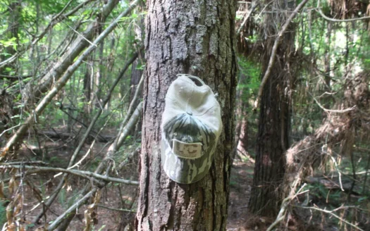 Hunting Land For Sale Lincoln County Loyd Star Mississippi