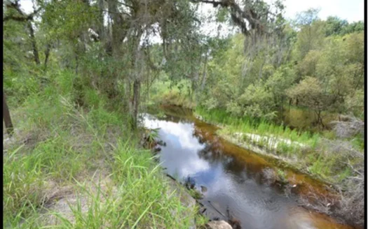 370 Acres on Charlie Creek, Zolfo Springs Florida