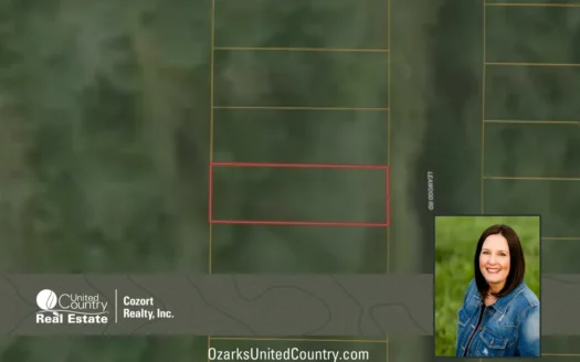 Lake Lot for Sale in Rockaway Beach, Missouri