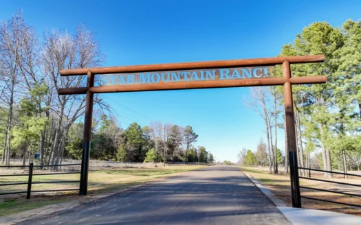 Land For Sale, Winona Tx, Smith County.