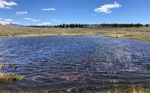 Waterfront Land for Sale on 40 Acres in Placerville, Colorado