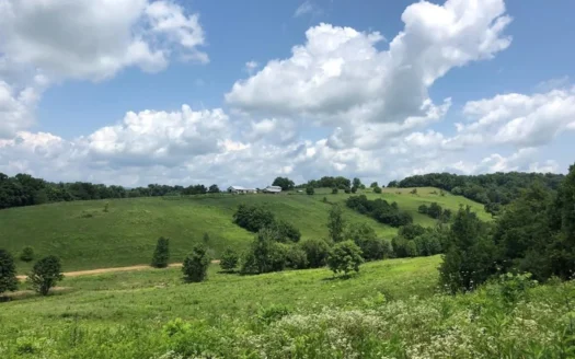 15 Acres Unrestricted Land For Sale in East TN