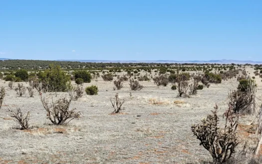 40 Acres in Manzano Foothills | Buildable New Mexico Land