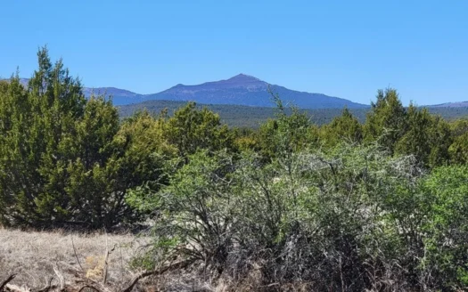 10 Acres in Manzano Mountain Foothills with Priceless Views!