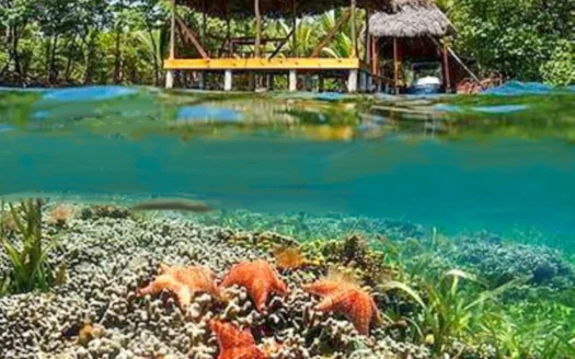 Titled Dolphin Bay Home – Oceanfront Property, Bocas del Toro