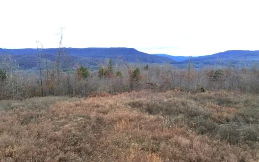 60 Acres Newton Co Land Bordering Buffalo National River Lan