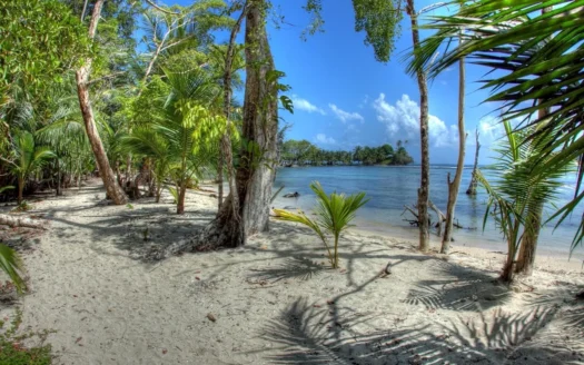Titled Beachfront Lot on Isla Carenero, Bocas del Toro