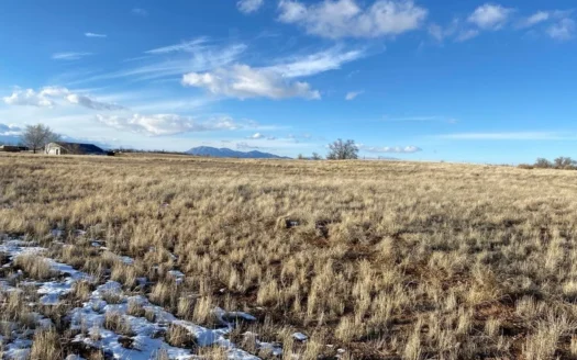 Prime Commercial Development Opportunity in Moriarty, NM