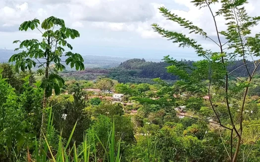 Stunning 5-Hectare Mountain Property with Ocean Views in Sora