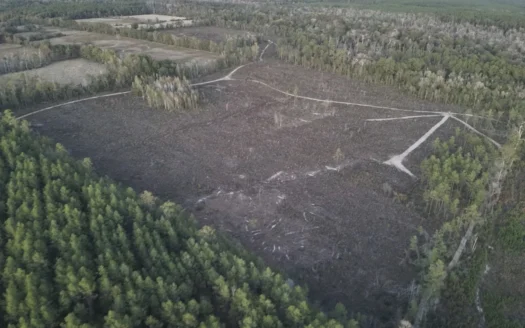 Diverse Timberland W/ Creek for Sale in Vernon Parish, LA