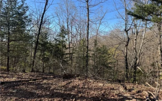 Newton County, Mockingbird Hill Land Acreage For Sale with Creek