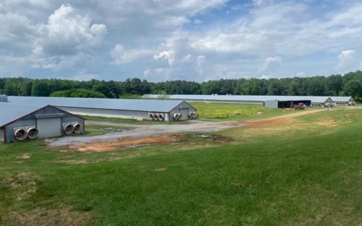 Poultry 4 House Breeder/Egg Farm for Sale Mississippi