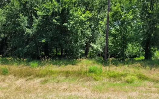 3.11 Acre Commercial Acreage on SW Loop 286 Paris, TX, Lamar Co