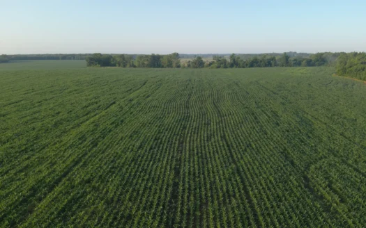 High-Quality Farmland with Strong Income and Excellent Hunting