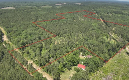 Recreational Timberland W/ Road W/ Utilities near Chidester, AR