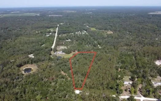 Private 5 Acre Lot In North Florida Near The Suwannee River