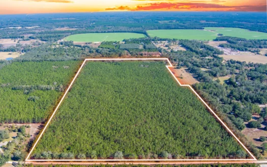 Land For Sale In Suwannee County!!!