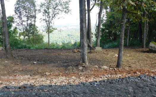 Round Mountain Estates at Iron Bluffs Lot For Sale