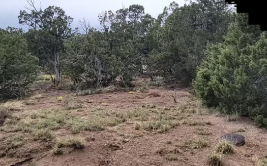 Wooded 2-Acre Lot with Utilities in Moriarty, NM
