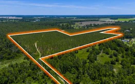 24.88 Acres for Sale in Madison County, Florida