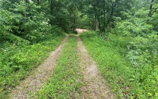 Newton County, Jasper Arkansas 5.79 Acres For Sale Old Hwy 7