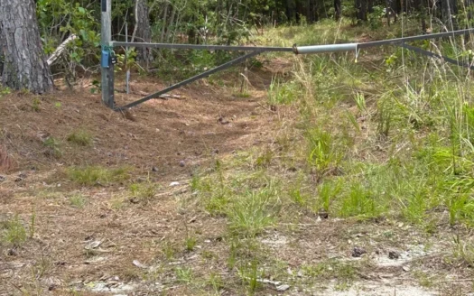 31.61 Acres with Pine, Mixed Hardwoods, Internal Roads & Creek