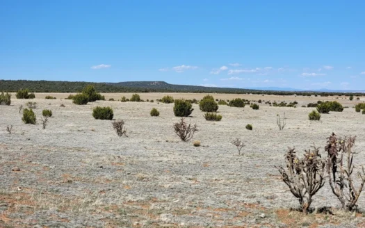 42 Acres in Estancia – No Covenants, Mountain Views