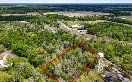 Commercial Property Adjacent To Fanning Springs State Park