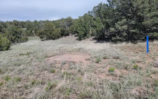 1.8-Acre Wooded Lot with Utilities – MHs Allowed