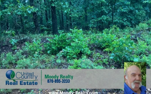 Prime Hunting Land In Sharp County Arkansas