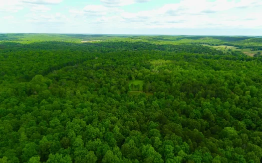 Unbelievable Hunting, And Recreational Property In Western Ripley