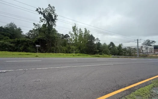 High-Visibility Commercial Land on US 29 in Greene County, VA