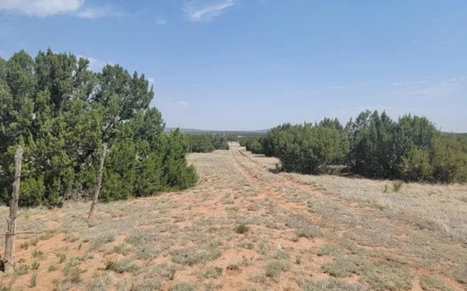 42 Acres with Mountain Views in Estancia NM – No Covenants