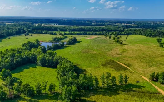 200 Acres Pasture Land – Pittsburg, TX Camp County – Fish Hunt