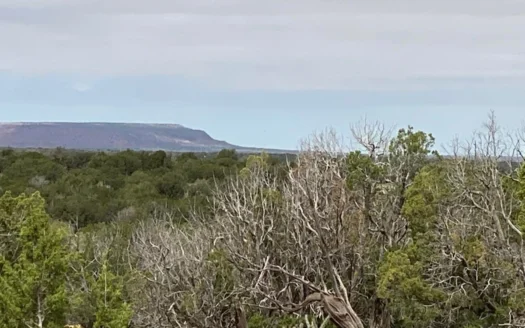 40 Acres for Sale in Bull Canyon Ranches, NM – Red Rock Views