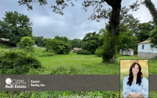 Lot for Sale in Oregon County, Missouri