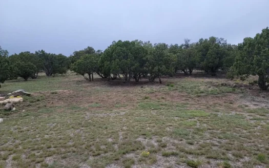 2.5-Acre Wooded Lot in Edgewood, NM – MHs Allowed
