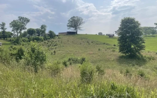 Unrestricted Land in Albany, Kentucky