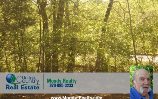 Arkansas Land For Sale In Sharp County