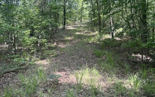 15 Wooded Acres in Tuscaloosa, Alabama