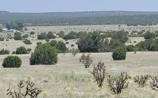 Unrestricted 42 Acres with Manzano Views – Estancia, NM