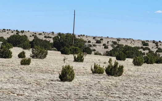 40 Acres in Estancia – No Restrictions, Mountain Views