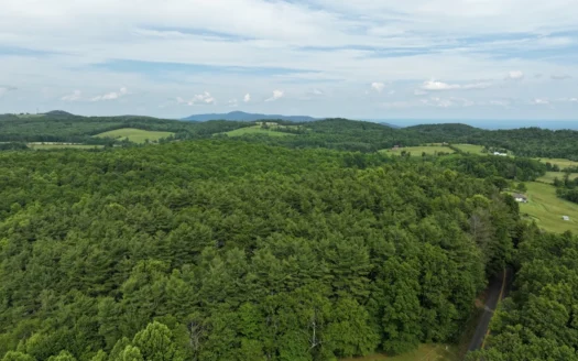 10.88 Ac± Of Land Located In Patrick County, Va