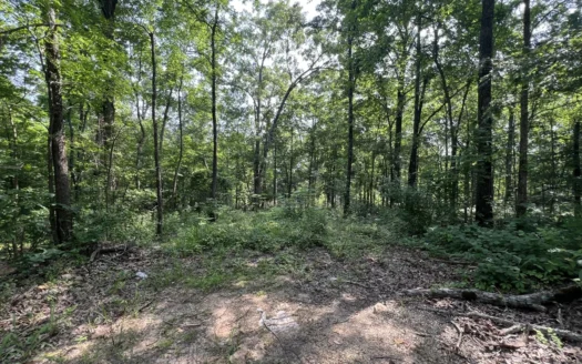 Recreational Property near Wappapello Lake