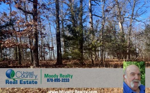 Ozarks Recreational/Hunting Acreage In Sharp County