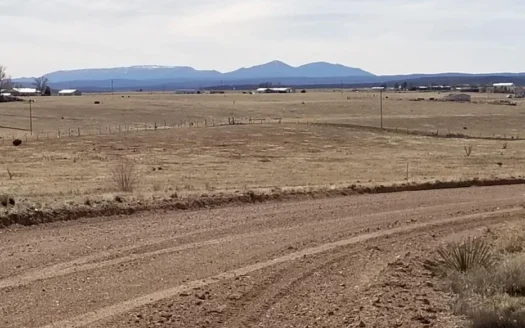 4 Acres in Moriarty – Grazing Land & Country Living